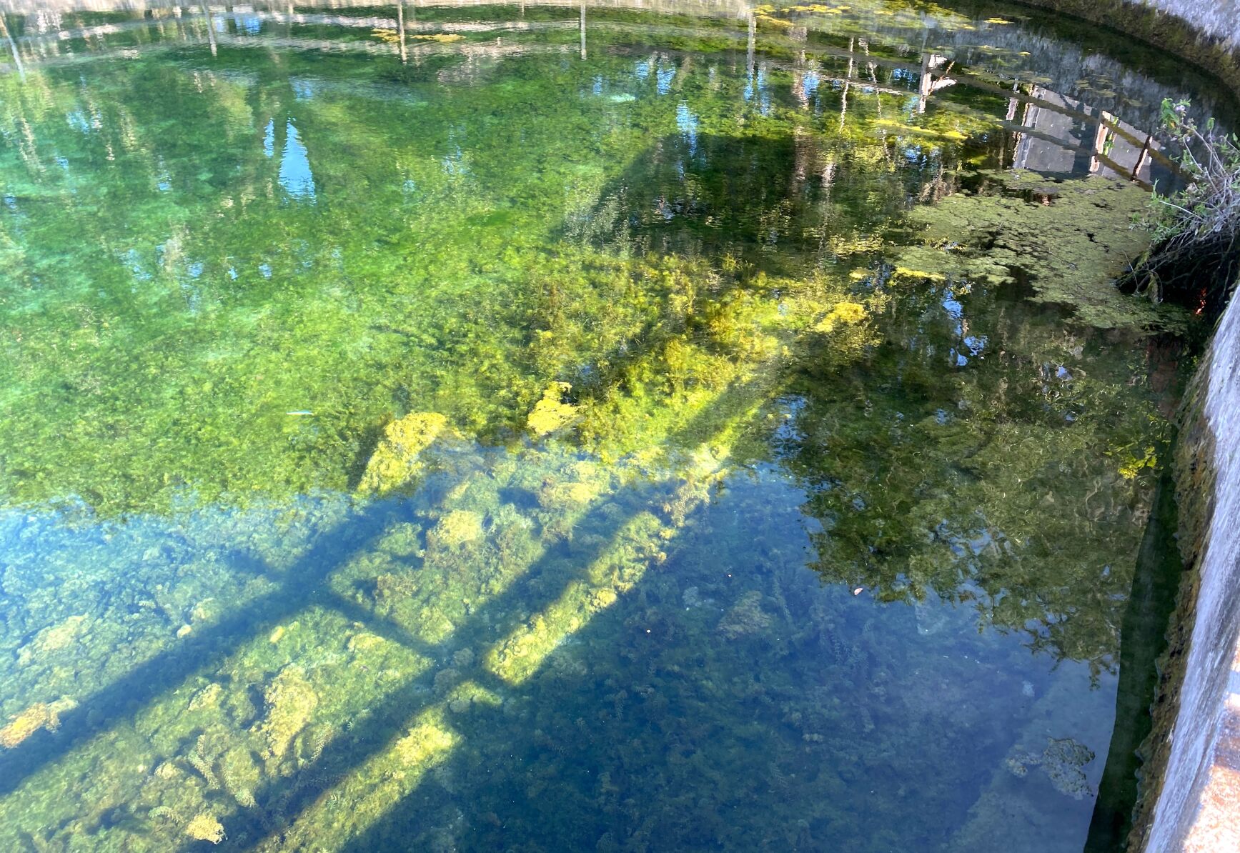 Little Springs Before Cleanup